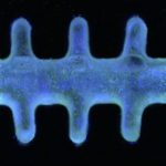 Center for Imaging