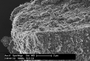 Ecological cement