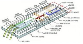 Slider image 3