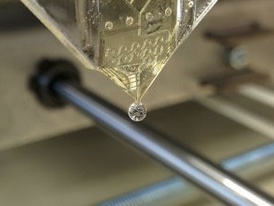 Slider image 1