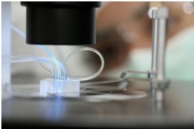 Slider image 13
