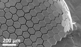 Slider image 8