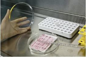 Slider image 7