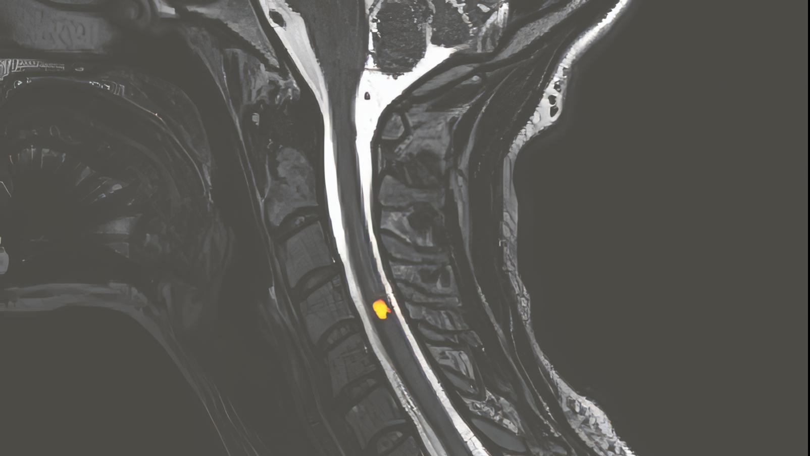 Imaging Science