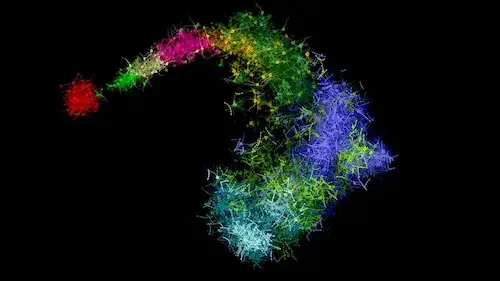 Imaging Science